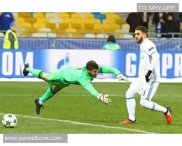 纽卡斯尔与布赖顿精彩集锦回顾赛场瞬间尽显足球魅力与激情