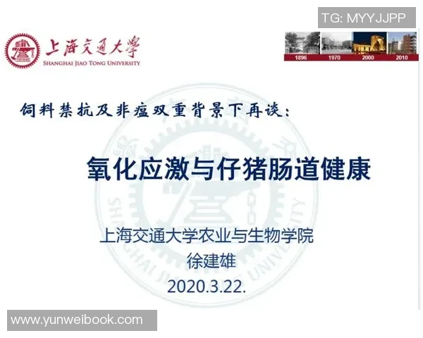 康塞普西翁大学对阵巴勒斯坦人精彩直播全程回顾与分析