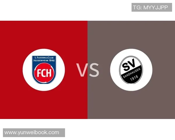 桑德豪森与海登海姆对决前瞻及比分预测分析